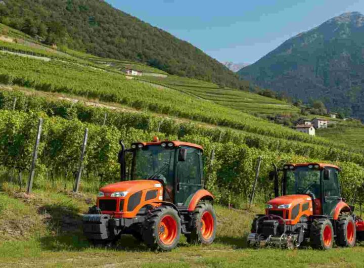 Enovitis Extrême 2025: un successo straordinario con più di 1.500 visitatori