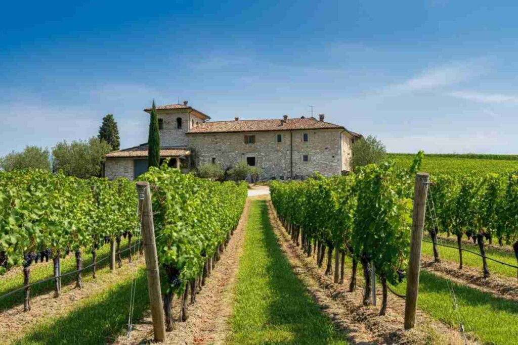 Filippo Butussi assume la guida del Consorzio Friuli Colli Orientali: cosa cambia per il futuro del vino friulano?
