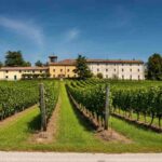Filippo Butussi: il nuovo volto alla guida del Consorzio Friuli Colli Orientali e Ramandolo