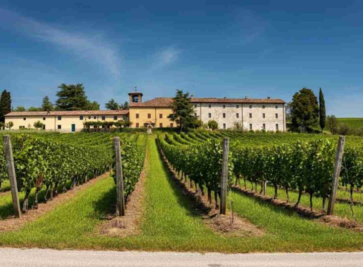 Filippo Butussi: il nuovo volto alla guida del Consorzio Friuli Colli Orientali e Ramandolo