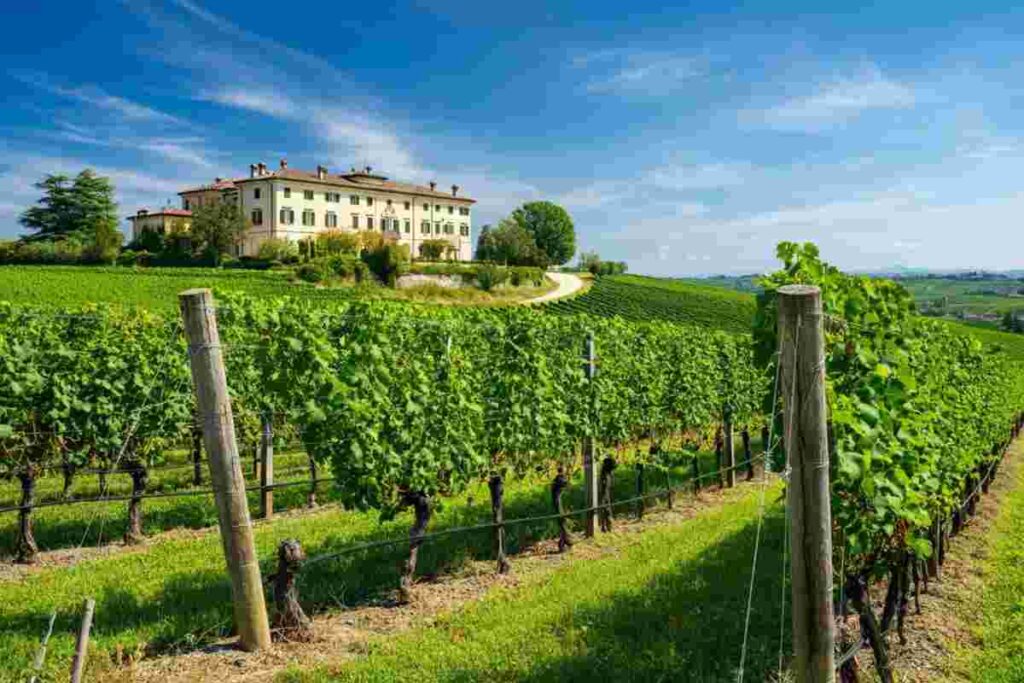 Filippo Butussi: il volto nuovo alla guida del Consorzio Friuli Colli Orientali e Ramandolo