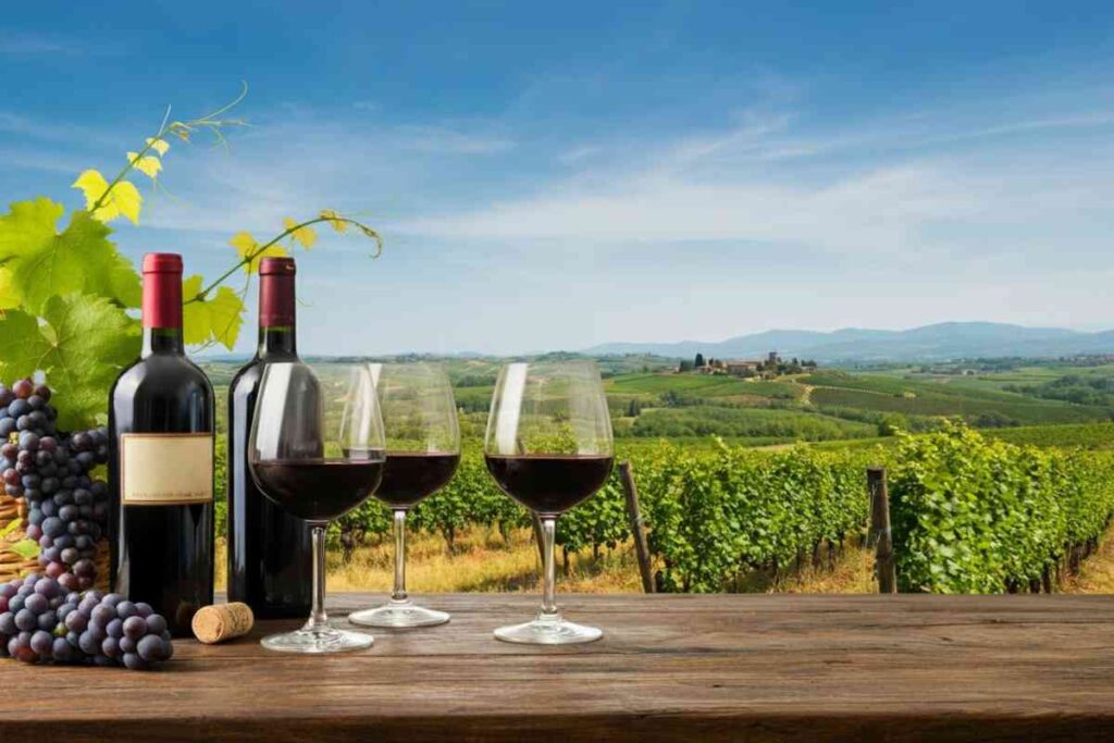Frescobaldi riconfermato presidente di UIV: sfide tra dazi e calo dell'export