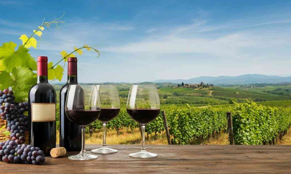 Frescobaldi riconfermato presidente di UIV: sfide tra dazi e calo dell'export