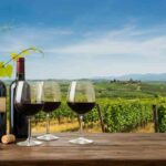 Frescobaldi riconfermato presidente di UIV: sfide tra dazi e calo dell'export
