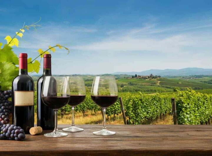 Frescobaldi riconfermato presidente di UIV: sfide tra dazi e calo dell'export