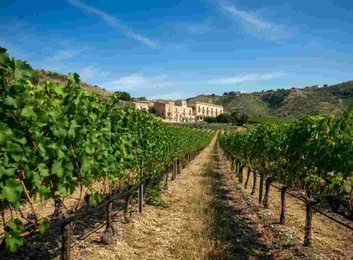Generazione Next: i giovani produttori di vino siciliani under 40 si uniscono per innovare