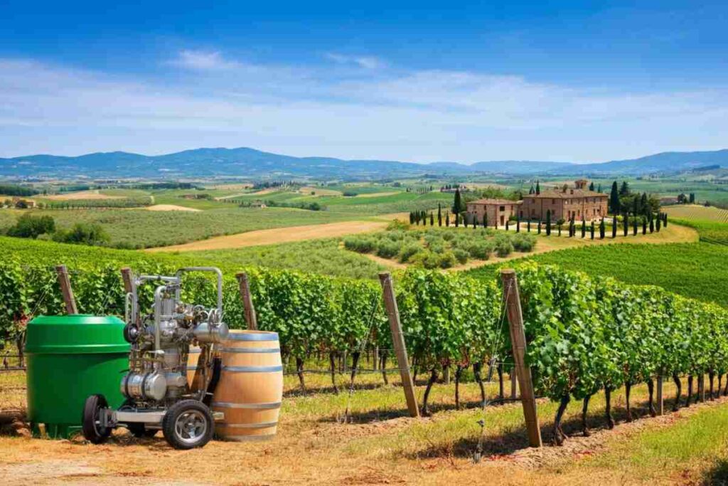 Giovanni Busi alla guida del Consorzio Vino Chianti: una nuova era per il vino toscano