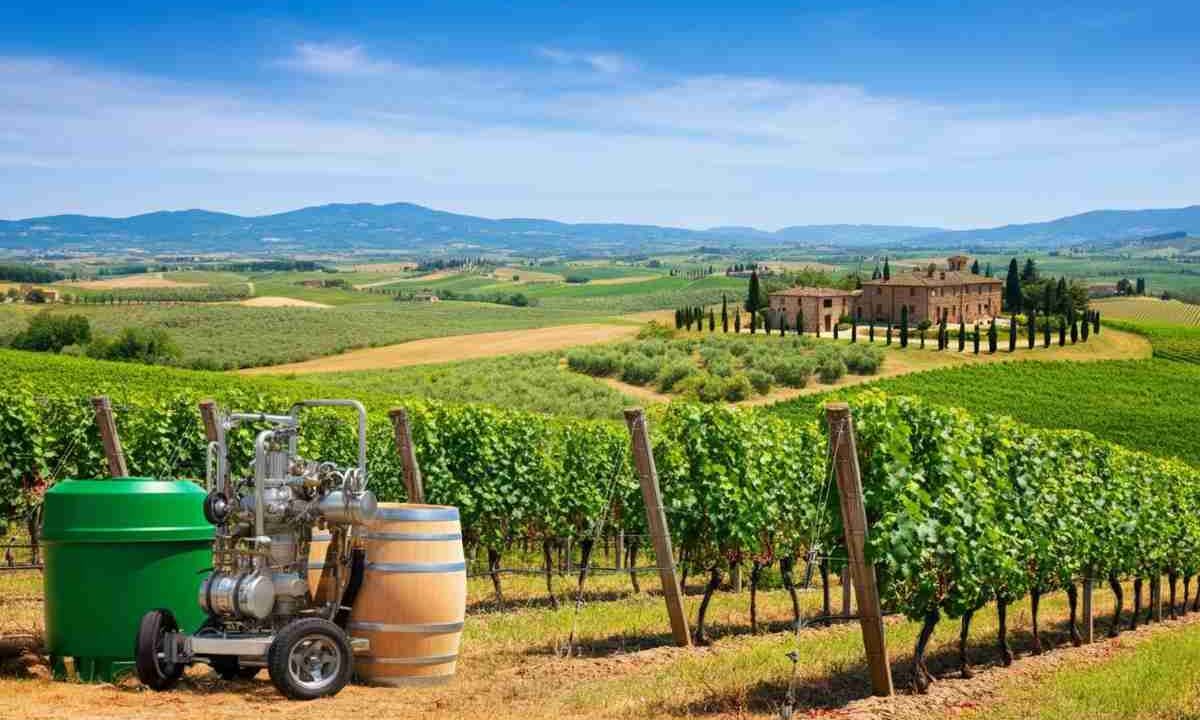 Giovanni Busi alla guida del Consorzio Vino Chianti: una nuova era per il vino toscano
