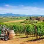 Giovanni Busi alla guida del Consorzio Vino Chianti: una nuova era per il vino toscano