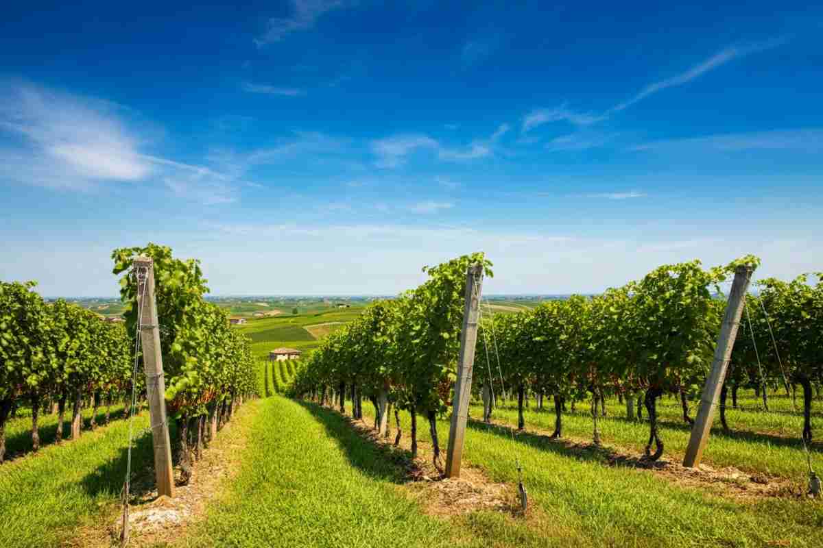 Gussalli Beretta espande il suo impero con l'acquisizione del 40% di Leonardo Specogna