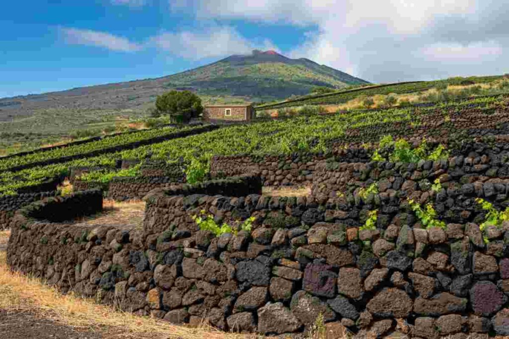 I muretti a secco dell'Etna: un viaggio esperienziale nel Patrimonio dell'Umanità