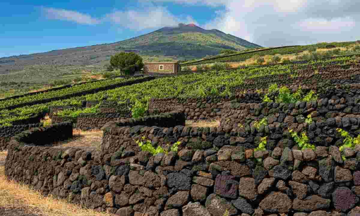 I muretti a secco dell'Etna: un viaggio esperienziale nel Patrimonio dell'Umanità