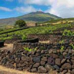 I muretti a secco dell'Etna: un viaggio esperienziale nel Patrimonio dell'Umanità
