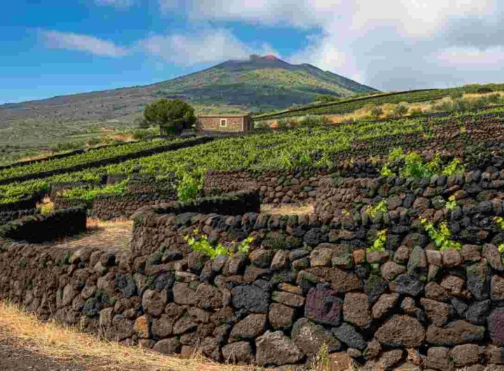 I muretti a secco dell'Etna: un viaggio esperienziale nel Patrimonio dell'Umanità