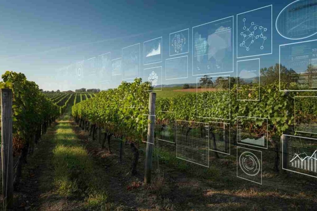 Il futuro del vino: come il digitale e l'AI stanno rivoluzionando il mercato estero