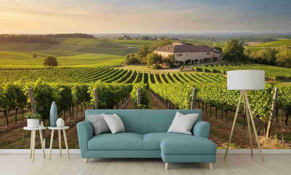 Il futuro del vino europeo: cosa ci riserva il bilancio UE 2028-2034?