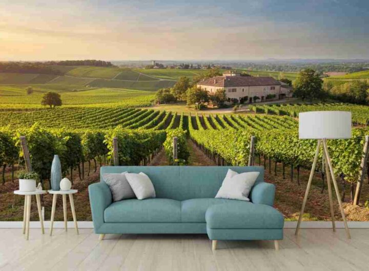 Il futuro del vino europeo: cosa ci riserva il bilancio UE 2028-2034?