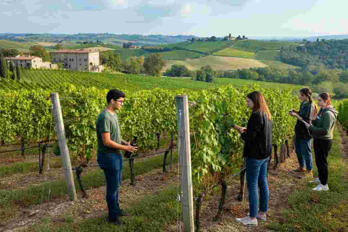 Il futuro del vino: il progetto Doc Delle Venezie-Re.N.Is.A. nelle scuole