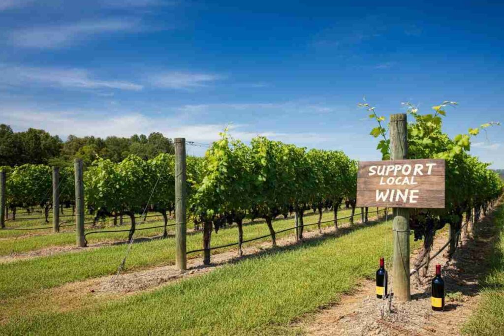 Il mondo del vino USA si unisce contro i dazi di Trump