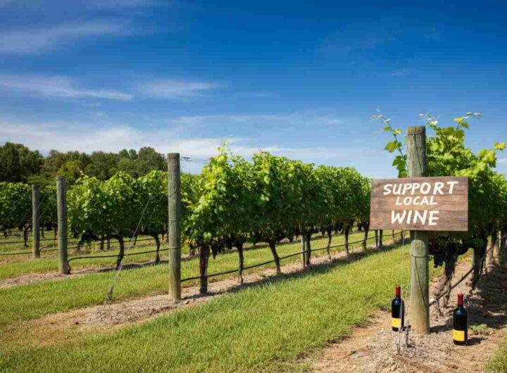Il mondo del vino USA si unisce contro i dazi di Trump