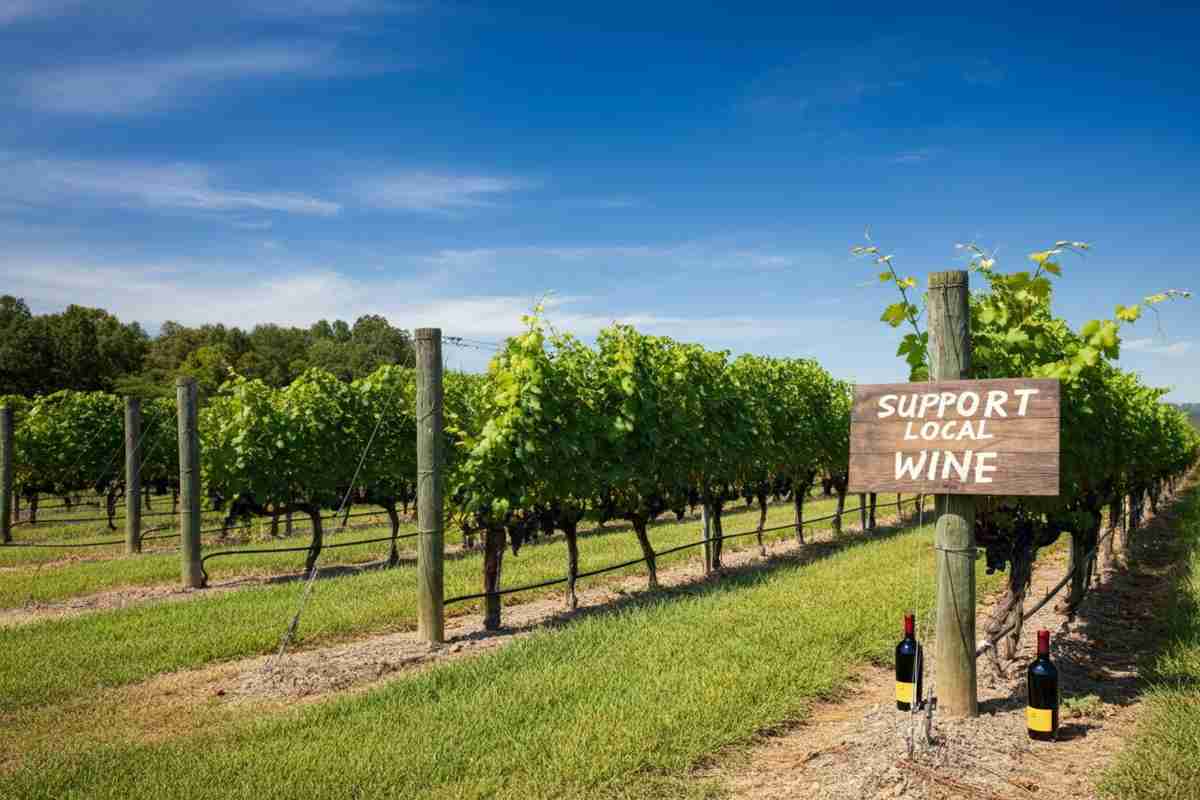 Il mondo del vino USA si unisce contro i dazi di Trump