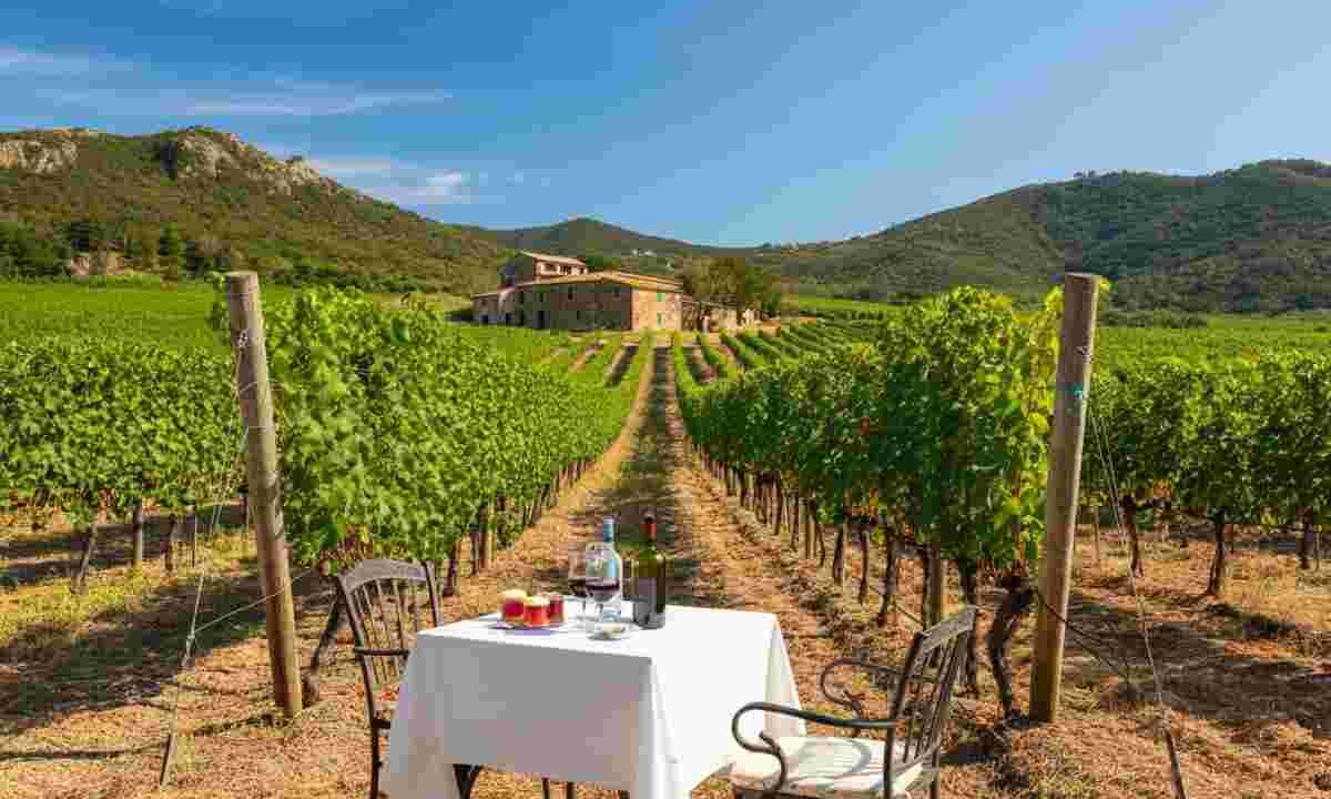Il paradosso dell'Elba: il turismo consuma il vino, ma il futuro è altrove