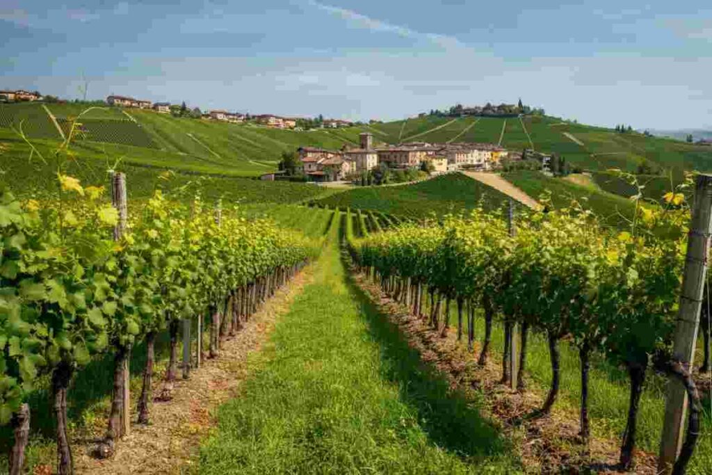 Il risveglio ecologico di Fontanafredda: un Rinascimento verde in atto