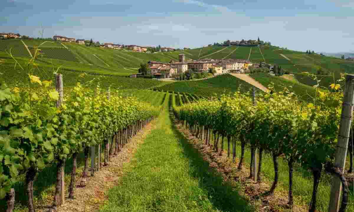Il risveglio ecologico di Fontanafredda: un Rinascimento verde in atto