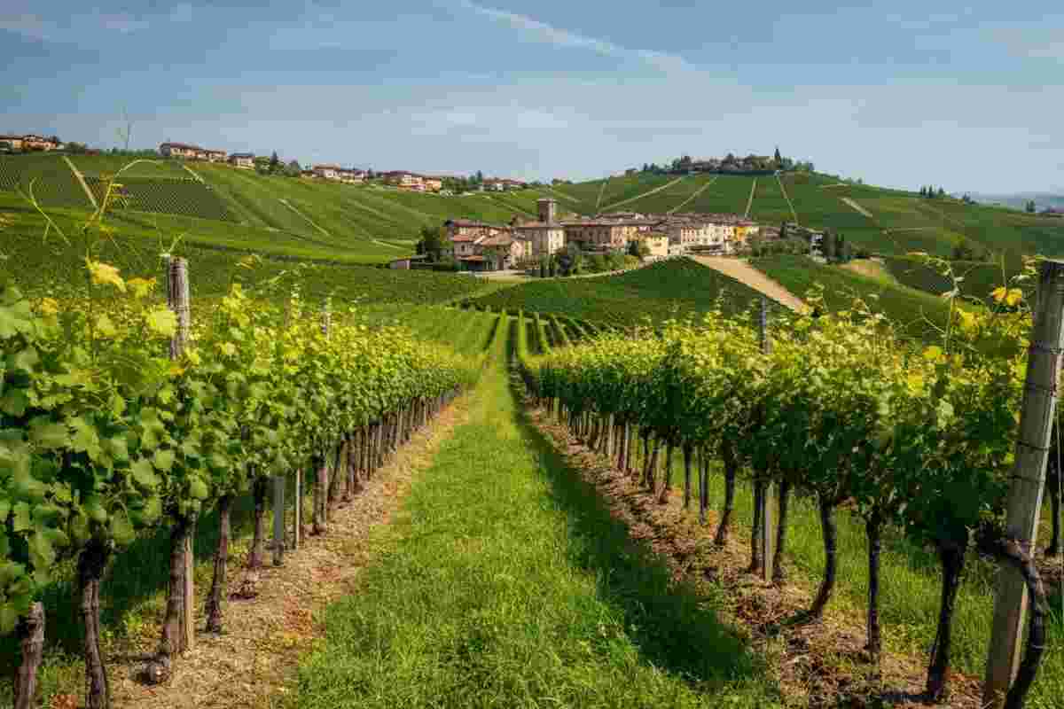 Il risveglio ecologico di Fontanafredda: un Rinascimento verde in atto