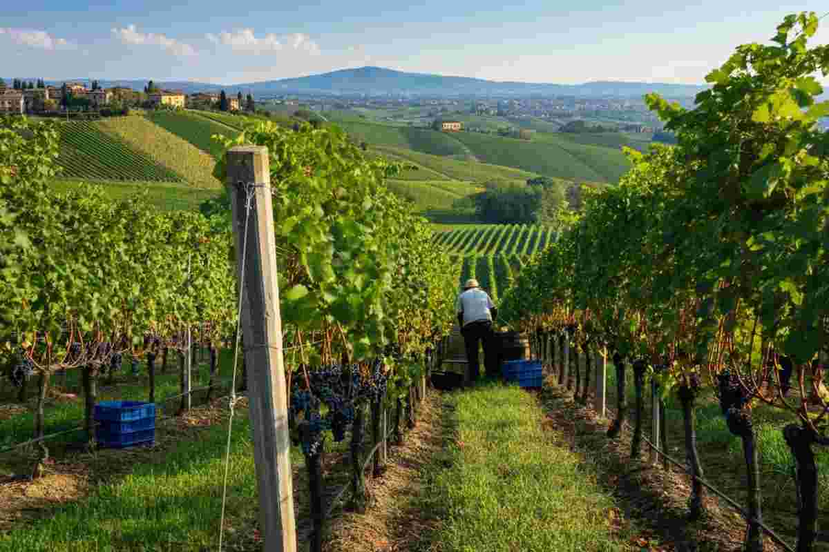 Il vino Ue affronta una nuova sfida: 15% di dazi verso gli Usa dal 1 agosto