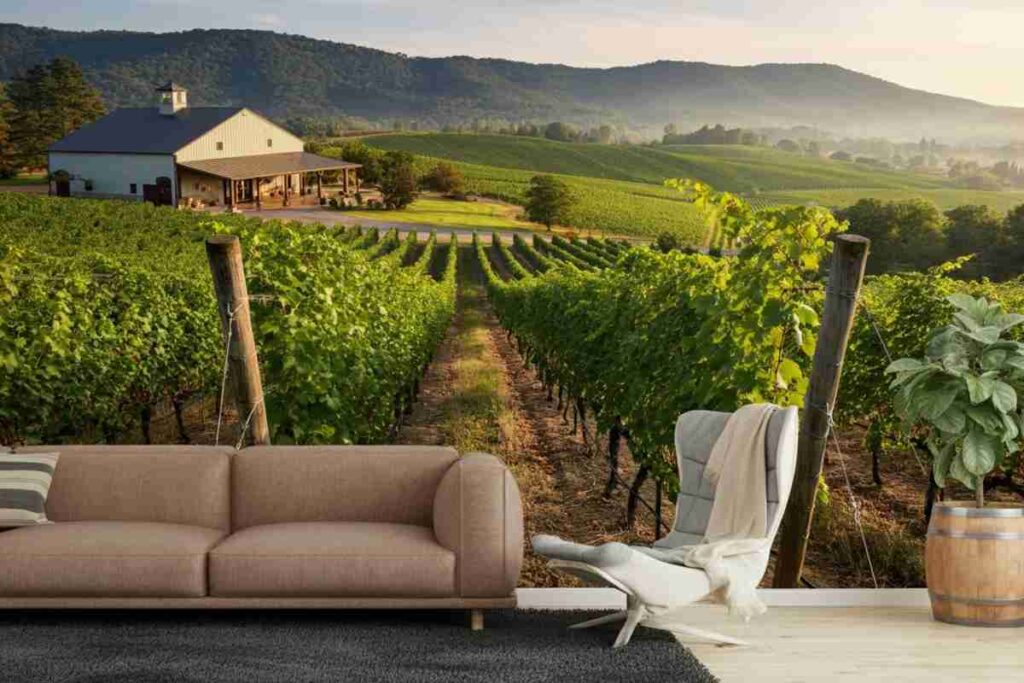 Il vino sfida le avversità: investimenti che raccontano una rinascita