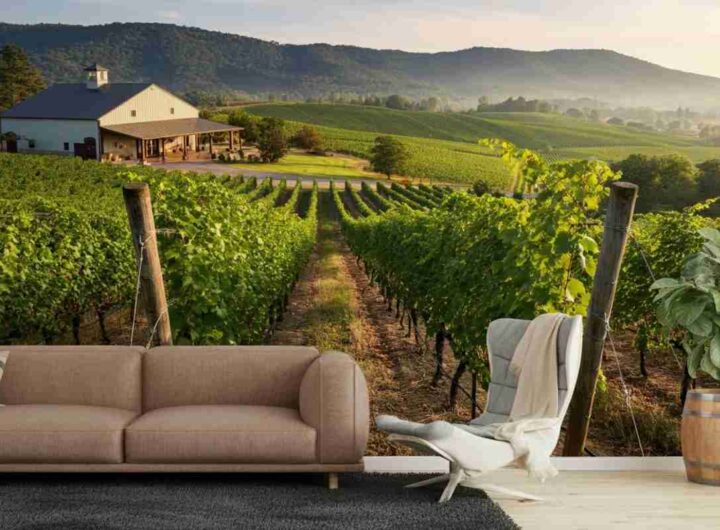 Il vino sfida le avversità: investimenti che raccontano una rinascita