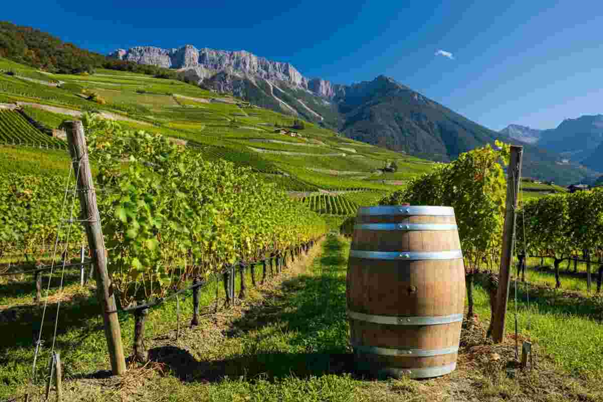 Kerner Aristos e l'anima verticale della Valle Isarco: un viaggio tra storia e natura