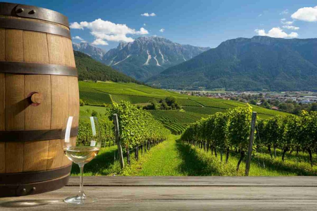 Kerner Aristos: il vino che svela l'anima verticale della Valle Isarco