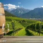 Kerner Aristos: il vino che svela l'anima verticale della Valle Isarco