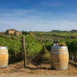 L'Altra Toscana: scoprire un futuro sorprendente oltre le tradizioni