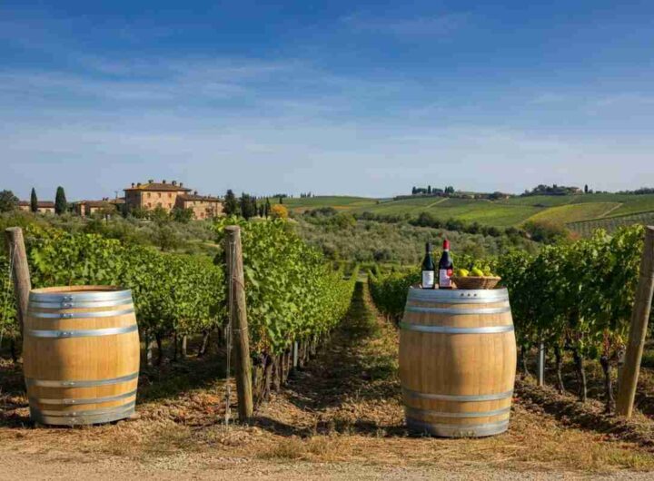 L'Altra Toscana: scoprire un futuro sorprendente oltre le tradizioni