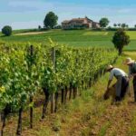 La Lombardia scopre il biologico: un boom di richieste sorprendente