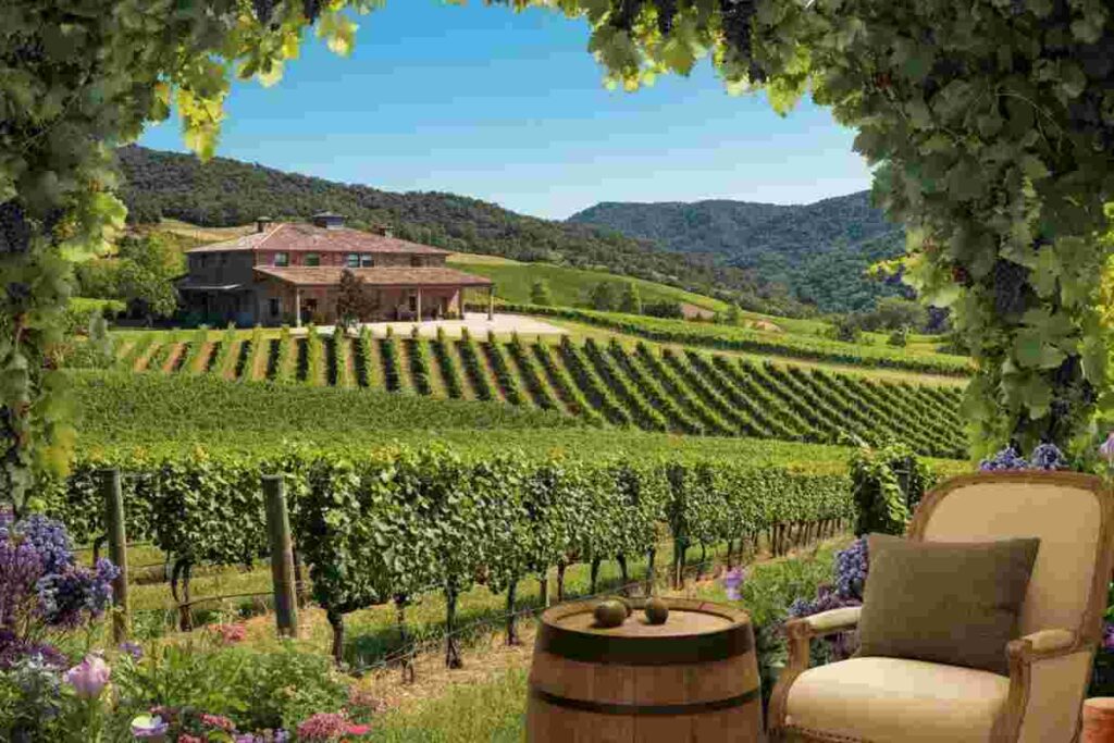 La Ponca: sei vini che raccontano l'identità del Collio