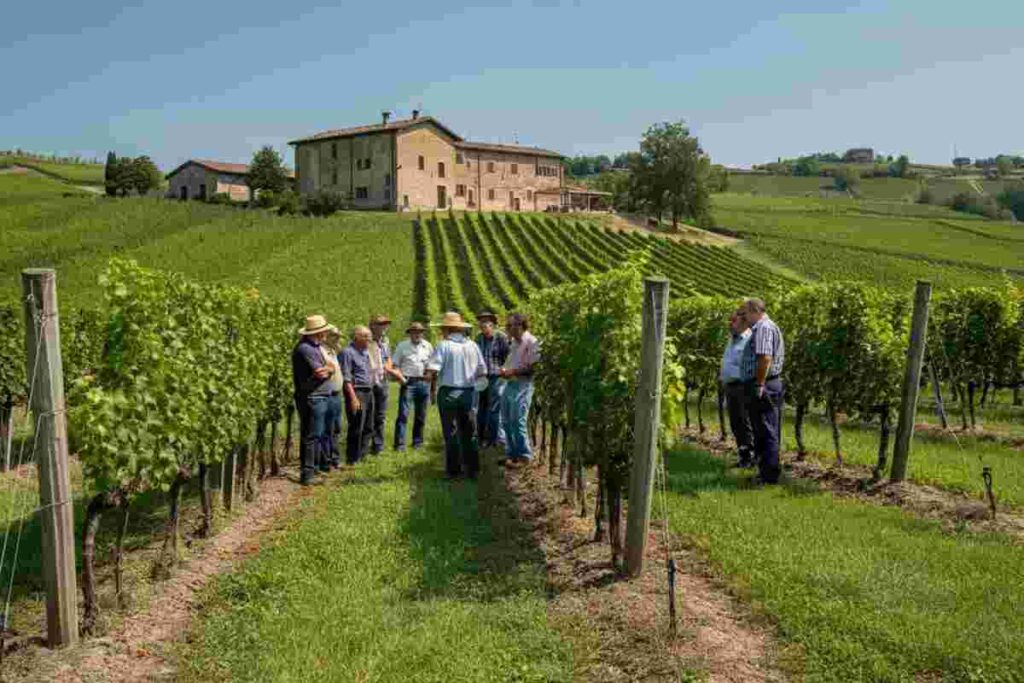 La Regione al salvataggio della cantina: una speranza per le Terre d’Oltrepò