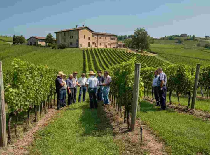 La Regione al salvataggio della cantina: una speranza per le Terre d’Oltrepò