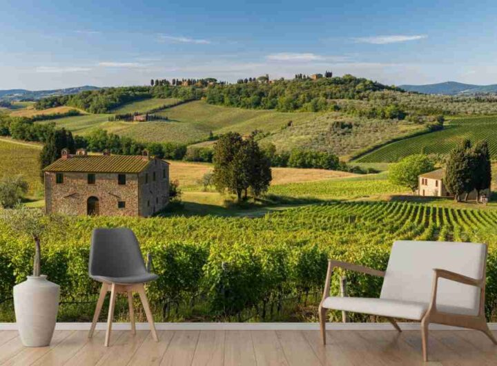La Tenuta di Arceno: un viaggio tra Chianti Classico e cultura internazionale