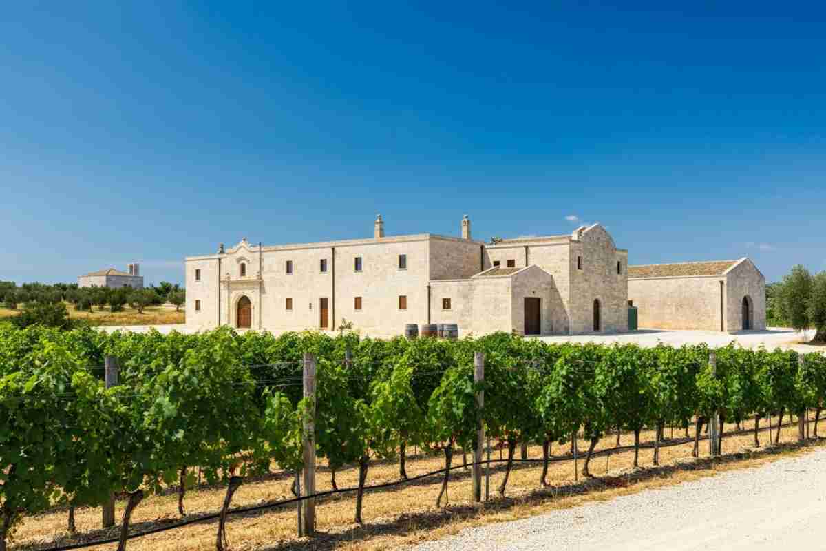 La famiglia Leo dà nuova vita alla storica Cantina Candido