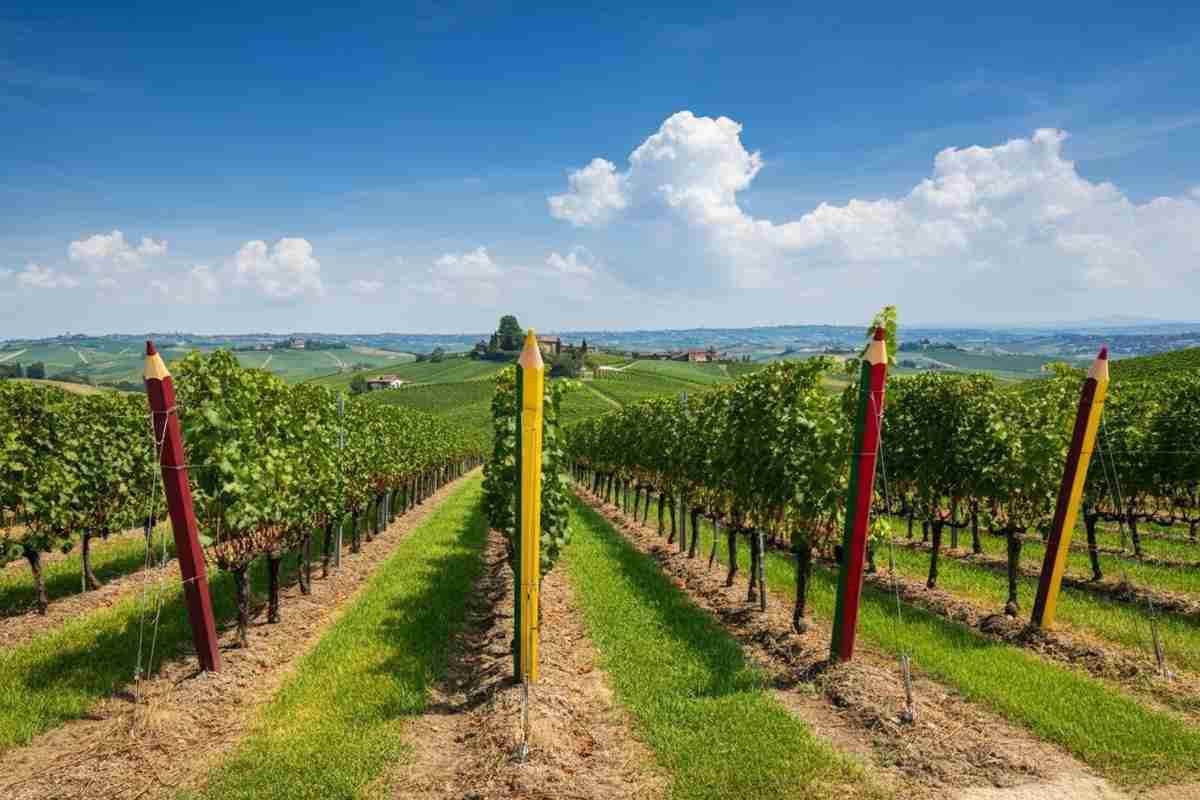 La famiglia Veronesi porta Oniwines in Piemonte con l'acquisizione di Pico Maccario