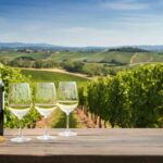 La magia della Prima di BiancoBolgheri: un evento da non perdere