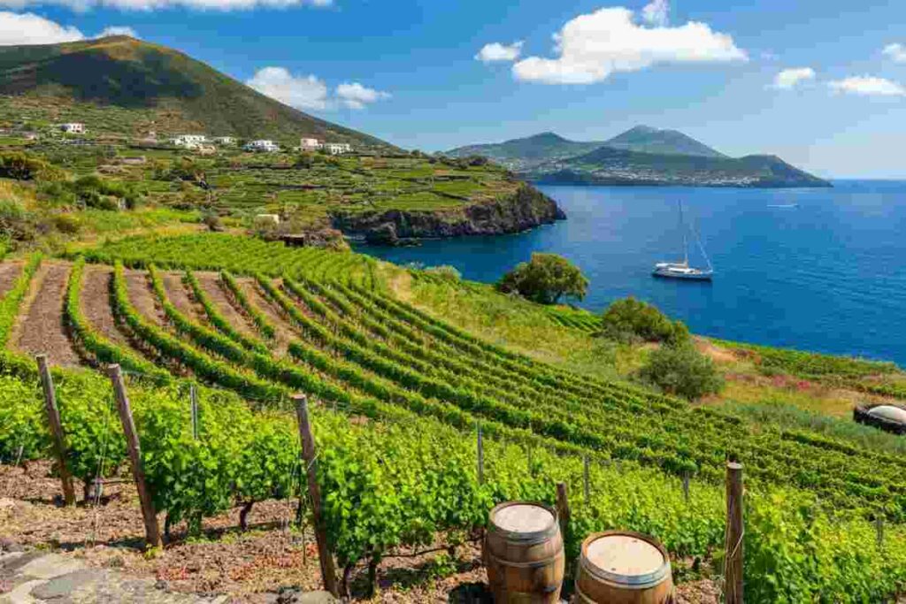 La passione di una famiglia: Cantine Colosi e il loro legame con Salina
