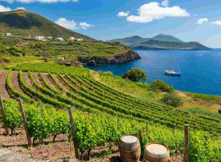 La passione di una famiglia: Cantine Colosi e il loro legame con Salina
