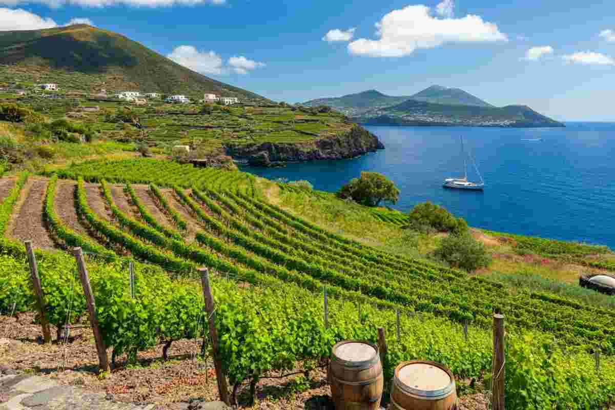La passione di una famiglia: Cantine Colosi e il loro legame con Salina
