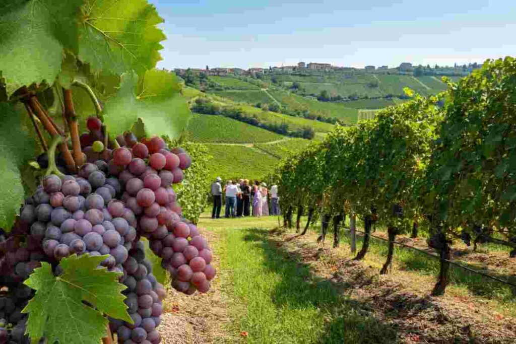 La recantina: un viaggio verso la rinascita e il futuro