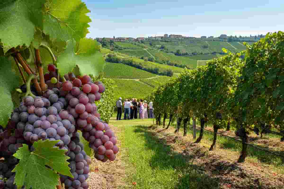 La recantina: un viaggio verso la rinascita e il futuro